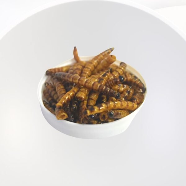 Dried Beetle Superworm